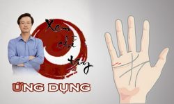 Share Khóa học Xem chỉ tay ứng dụng
