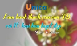Share Khóa học Làm bánh thạch rau câu 3D với 10 loại hoa tuyệt đẹp