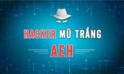 Share Khóa học Hacker Mũ Trắng AEH bảo mật an ninh mạng đơn giản